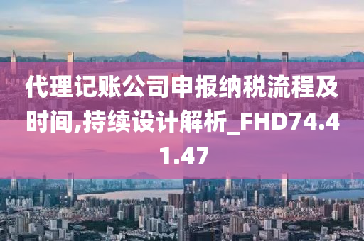 代理记账公司申报纳税流程及时间,持续设计解析_FHD74.41.47