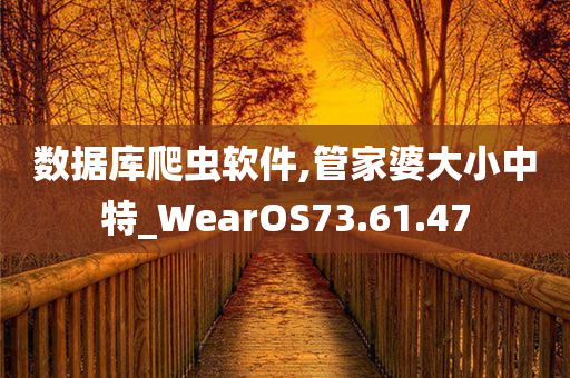 数据库爬虫软件,管家婆大小中特_WearOS73.61.47