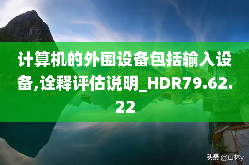 计算机的外围设备包括输入设备,诠释评估说明_HDR79.62.22