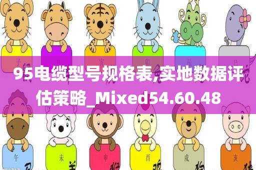 95电缆型号规格表,实地数据评估策略_Mixed54.60.48