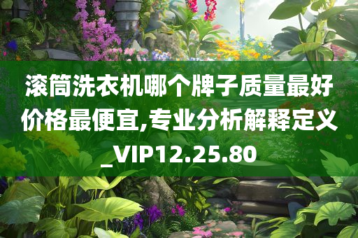 滚筒洗衣机哪个牌子质量最好价格最便宜,专业分析解释定义_VIP12.25.80