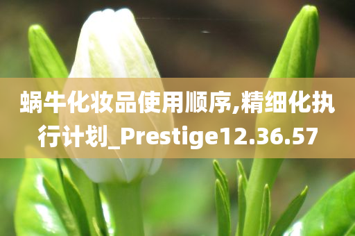 蜗牛化妆品使用顺序,精细化执行计划_Prestige12.36.57