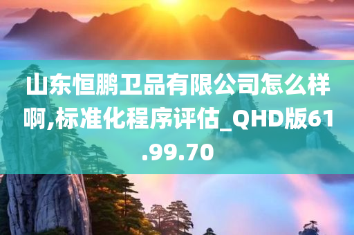 山东恒鹏卫品有限公司怎么样啊,标准化程序评估_QHD版61.99.70