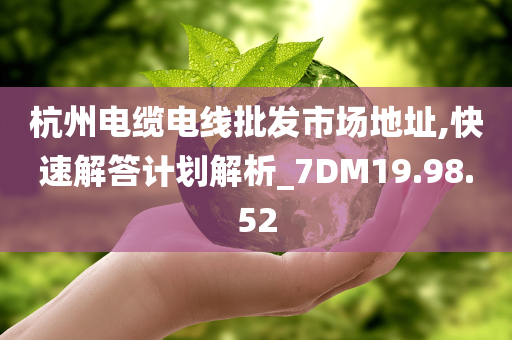 杭州电缆电线批发市场地址,快速解答计划解析_7DM19.98.52