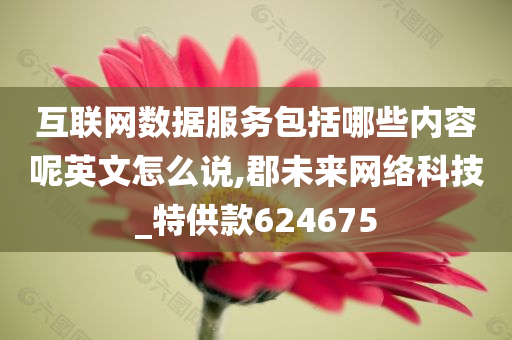 互联网数据服务包括哪些内容呢英文怎么说,郡未来网络科技_特供款624675