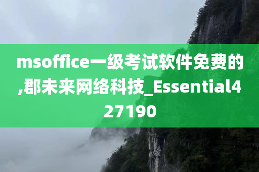 msoffice一级考试软件免费的,郡未来网络科技_Essential427190