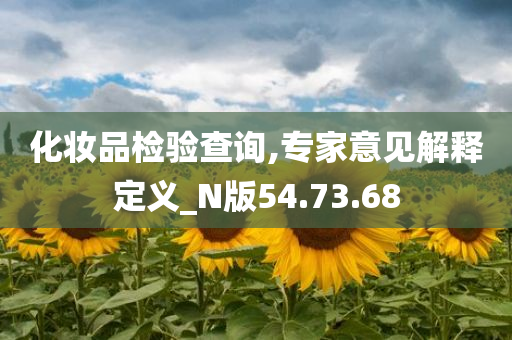 化妆品检验查询,专家意见解释定义_N版54.73.68