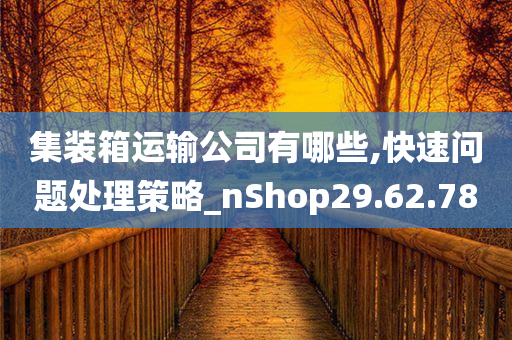 集装箱运输公司有哪些,快速问题处理策略_nShop29.62.78