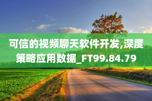 可信的视频聊天软件开发,深度策略应用数据_FT99.84.79