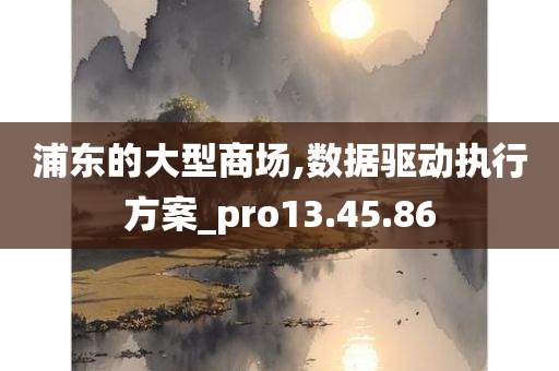 浦东的大型商场,数据驱动执行方案_pro13.45.86