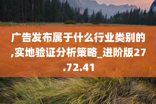 广告发布属于什么行业类别的,实地验证分析策略_进阶版27.72.41