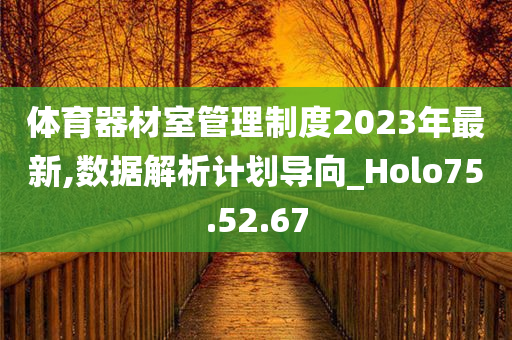 体育器材室管理制度2023年最新,数据解析计划导向_Holo75.52.67