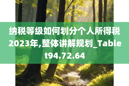 纳税等级如何划分个人所得税2023年,整体讲解规划_Tablet94.72.64