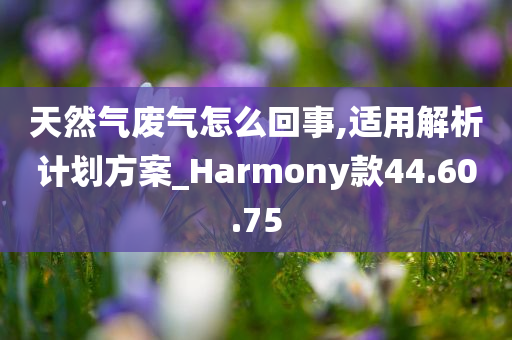 天然气废气怎么回事,适用解析计划方案_Harmony款44.60.75