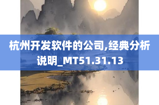 杭州开发软件的公司,经典分析说明_MT51.31.13