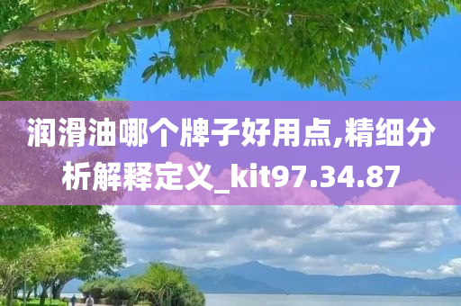 润滑油哪个牌子好用点,精细分析解释定义_kit97.34.87