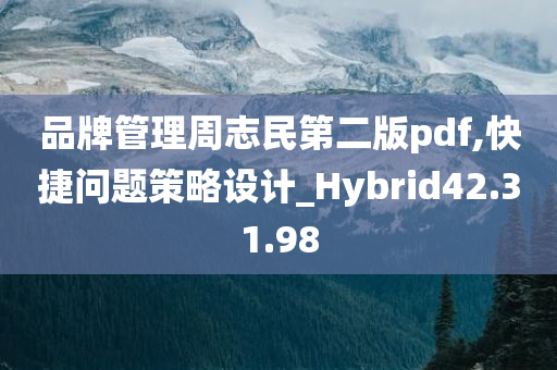 品牌管理周志民第二版pdf,快捷问题策略设计_Hybrid42.31.98