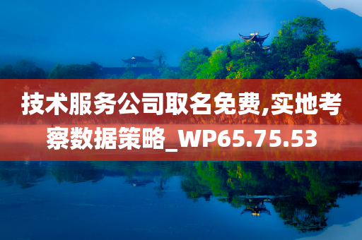 技术服务公司取名免费,实地考察数据策略_WP65.75.53