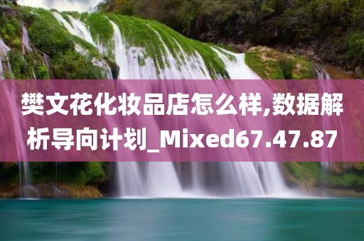 樊文花化妆品店怎么样,数据解析导向计划_Mixed67.47.87