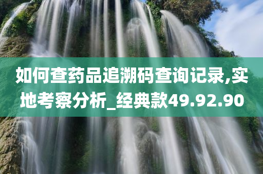 如何查药品追溯码查询记录,实地考察分析_经典款49.92.90