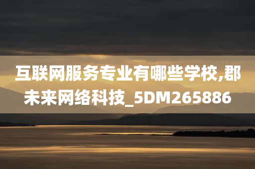 互联网服务专业有哪些学校,郡未来网络科技_5DM265886