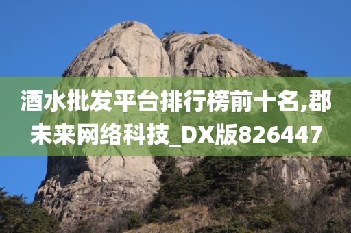 酒水批发平台排行榜前十名,郡未来网络科技_DX版826447