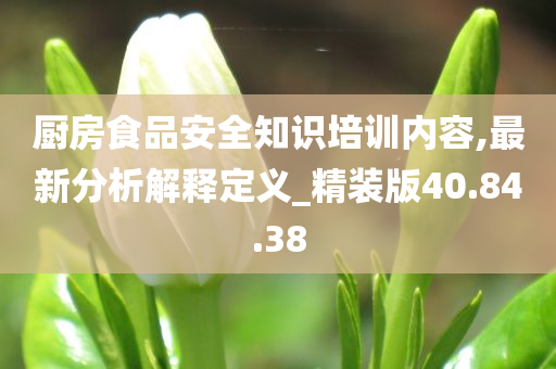 厨房食品安全知识培训内容,最新分析解释定义_精装版40.84.38