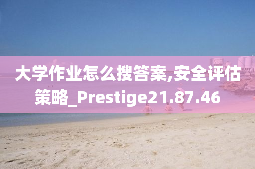 大学作业怎么搜答案,安全评估策略_Prestige21.87.46