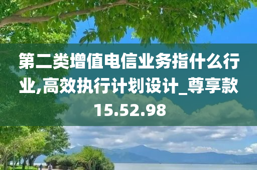 第二类增值电信业务指什么行业,高效执行计划设计_尊享款15.52.98