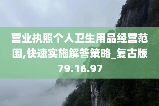 营业执照个人卫生用品经营范围,快速实施解答策略_复古版79.16.97