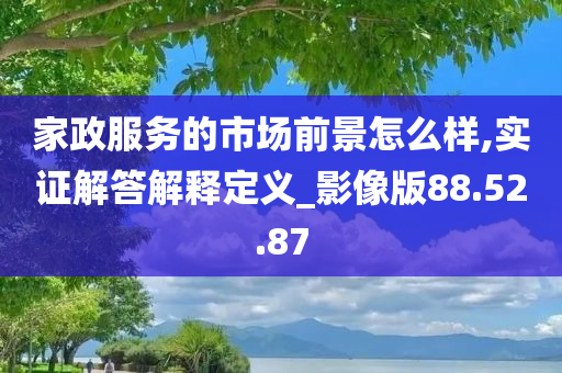 家政服务的市场前景怎么样,实证解答解释定义_影像版88.52.87