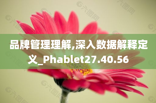 品牌管理理解,深入数据解释定义_Phablet27.40.56