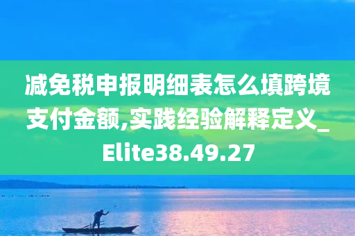 减免税申报明细表怎么填跨境支付金额,实践经验解释定义_Elite38.49.27