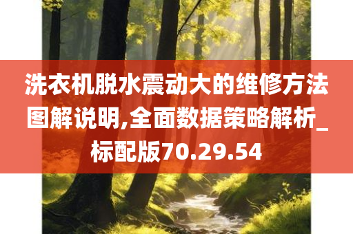 洗衣机脱水震动大的维修方法图解说明,全面数据策略解析_标配版70.29.54