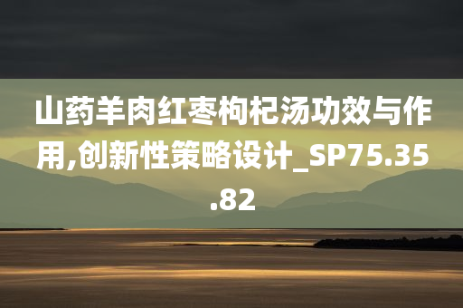 山药羊肉红枣枸杞汤功效与作用,创新性策略设计_SP75.35.82