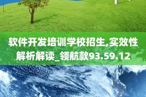 软件开发培训学校招生,实效性解析解读_领航款93.59.12