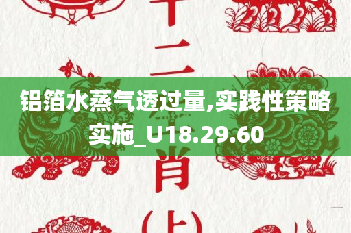 铝箔水蒸气透过量,实践性策略实施_U18.29.60