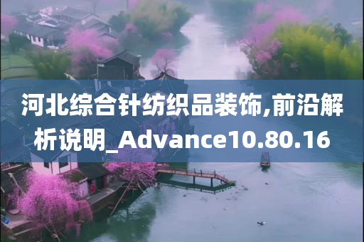 河北综合针纺织品装饰,前沿解析说明_Advance10.80.16