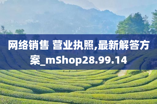 网络销售 营业执照,最新解答方案_mShop28.99.14