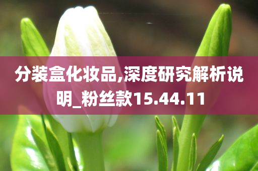 分装盒化妆品,深度研究解析说明_粉丝款15.44.11