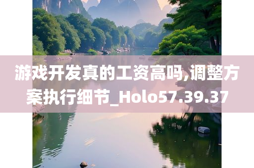 游戏开发真的工资高吗,调整方案执行细节_Holo57.39.37