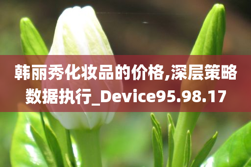 韩丽秀化妆品的价格,深层策略数据执行_Device95.98.17