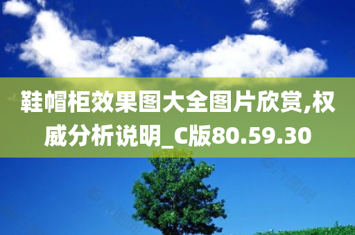 鞋帽柜效果图大全图片欣赏,权威分析说明_C版80.59.30