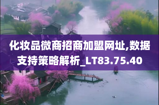 化妆品微商招商加盟网址,数据支持策略解析_LT83.75.40