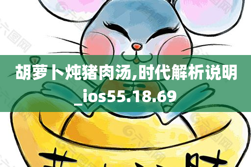 胡萝卜炖猪肉汤,时代解析说明_ios55.18.69