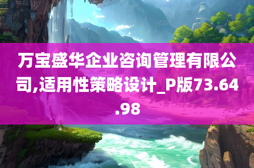 万宝盛华企业咨询管理有限公司,适用性策略设计_P版73.64.98