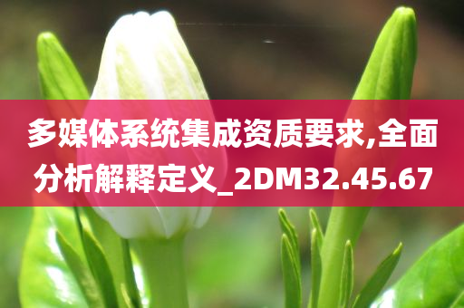 多媒体系统集成资质要求,全面分析解释定义_2DM32.45.67