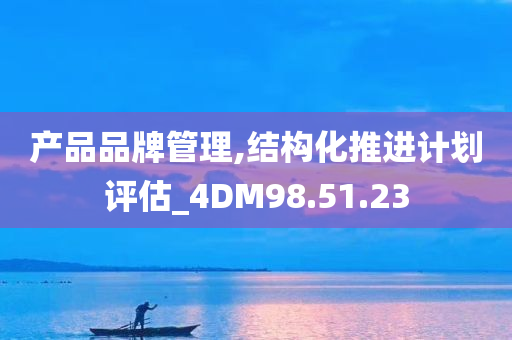 产品品牌管理,结构化推进计划评估_4DM98.51.23