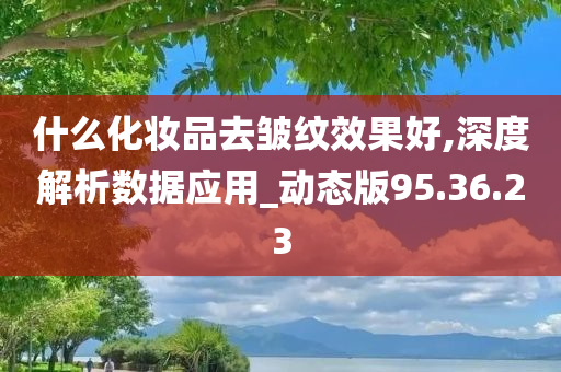 什么化妆品去皱纹效果好,深度解析数据应用_动态版95.36.23