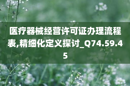 医疗器械经营许可证办理流程表,精细化定义探讨_Q74.59.45